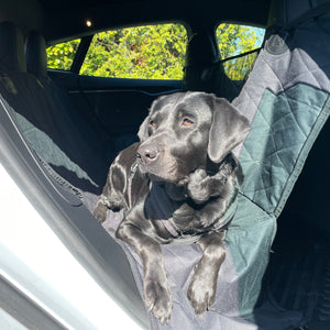 Hundedecke für die Rückbank - Universalgröße mit Labrador Retriver - E-Mobility Shop